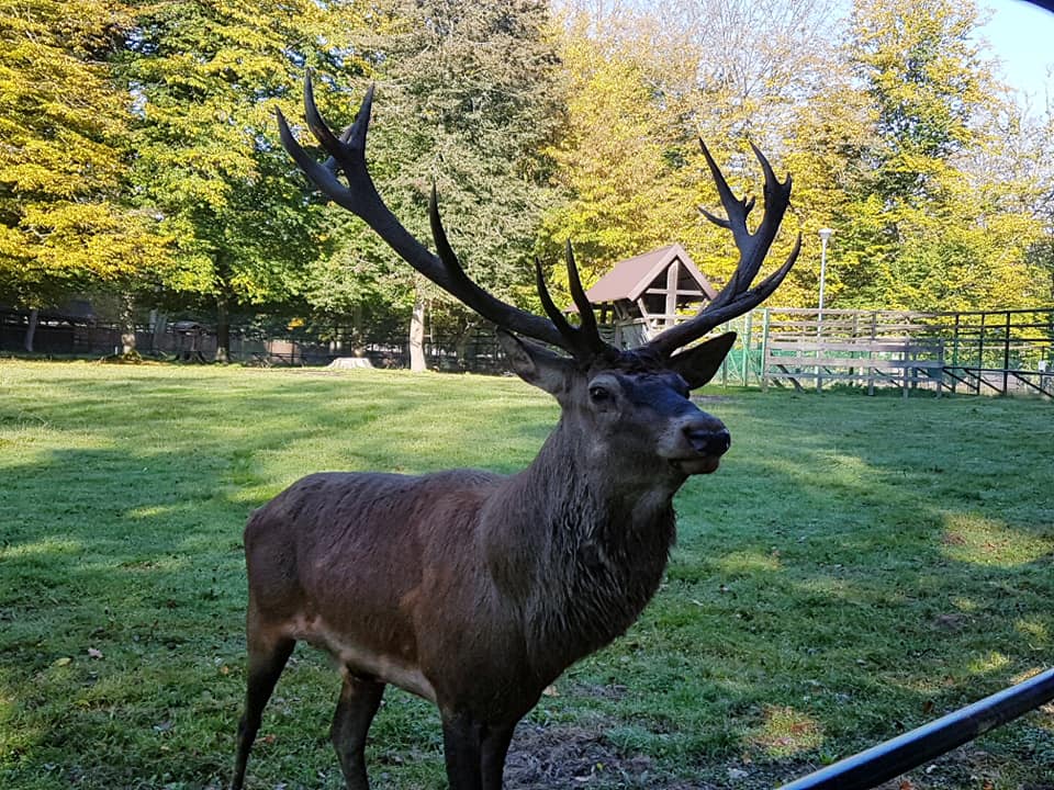 Wycieczka do Białowieży